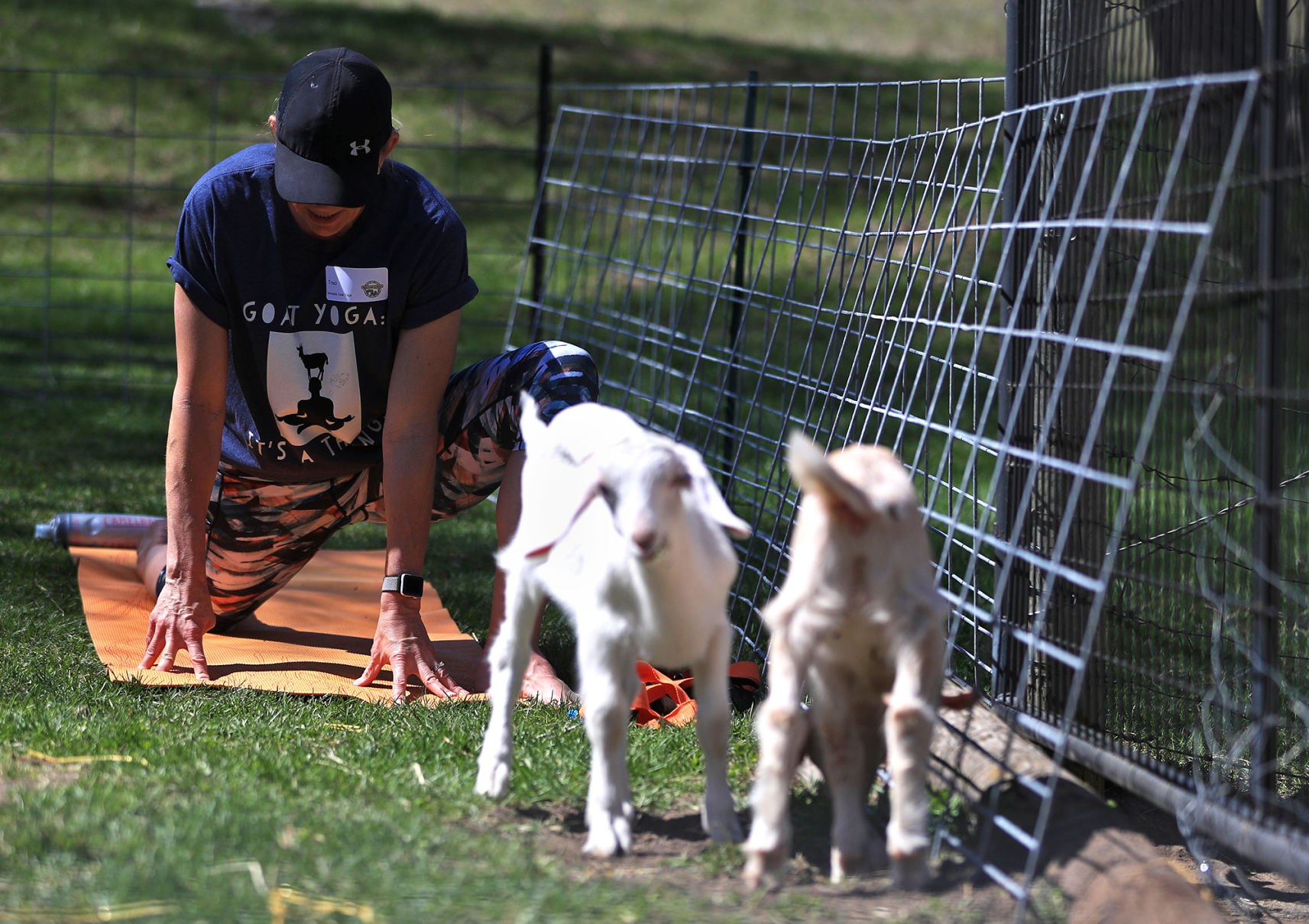 Namaste Goat Yoga
